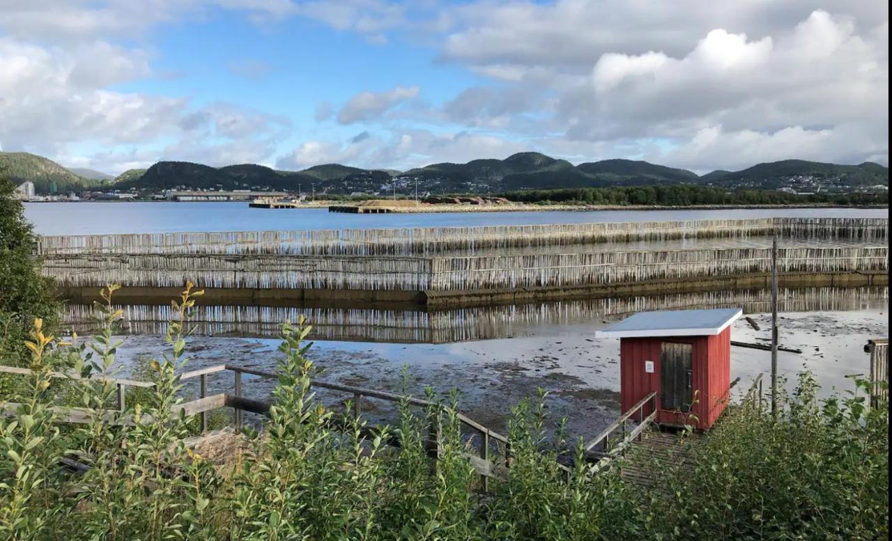 Landlig og sentrumsnær leilighet Leilighet Namsos Eksteriør bilde