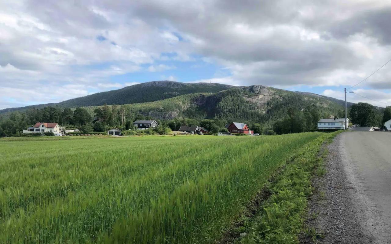 Landlig og sentrumsnær leilighet Leilighet Namsos Eksteriør bilde