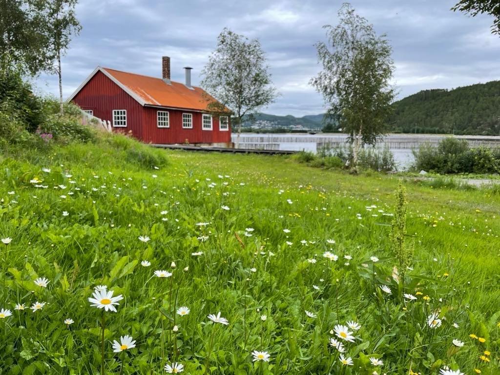 Landlig og sentrumsnær leilighet Leilighet Namsos Eksteriør bilde