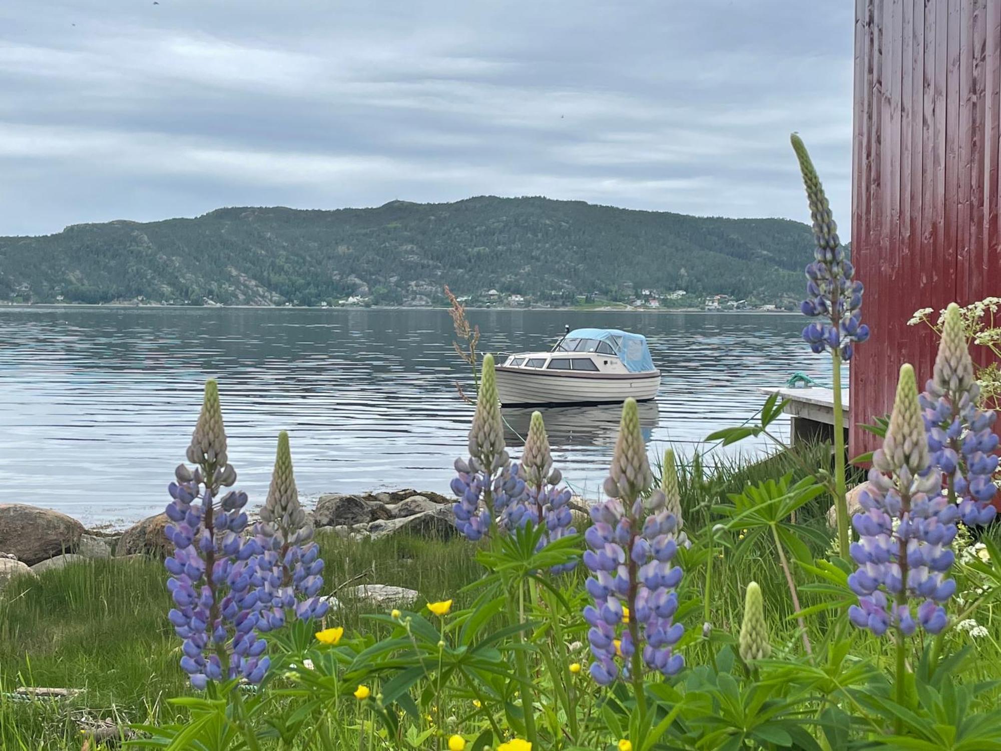 Landlig og sentrumsnær leilighet Leilighet Namsos Eksteriør bilde